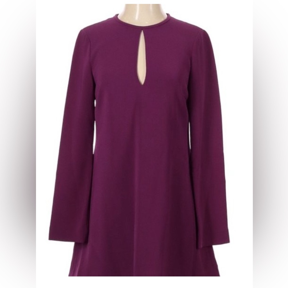 Elizabeth & James Purple Long Sleeve Dress. Size 4